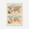 Zoological map of the distribution of animals art print