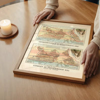 Zoological map of the distribution of animals art print