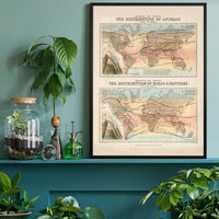 Zoological map of the distribution of animals art print