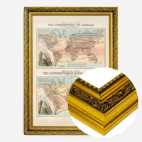 Zoological map of the distribution of animals art print