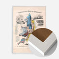White Wood Frame