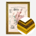 Gold Ornate Frame