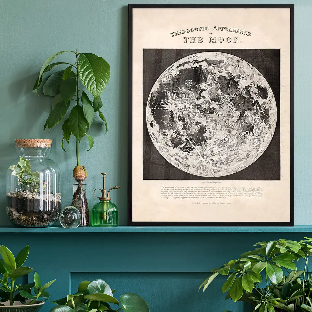 Telescopic Appearance of the Moon art print