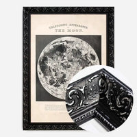Telescopic Appearance of the Moon art print