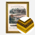 Gold Ornate Frame
