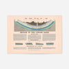 Section Of The London Basin art print