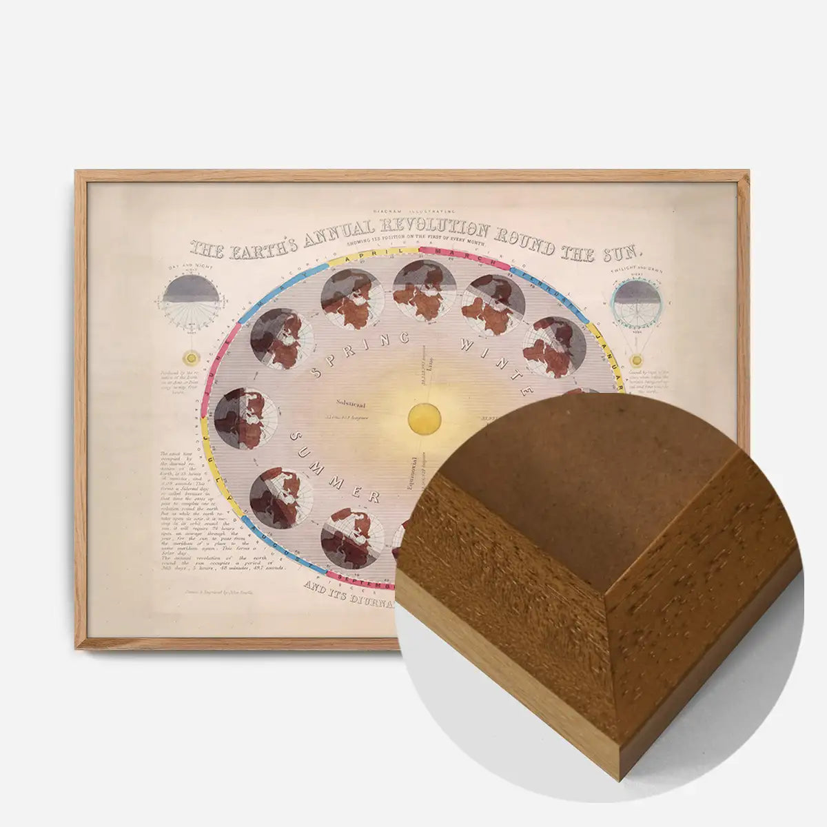 The Earth's Annual Revolution Round the Sun art print