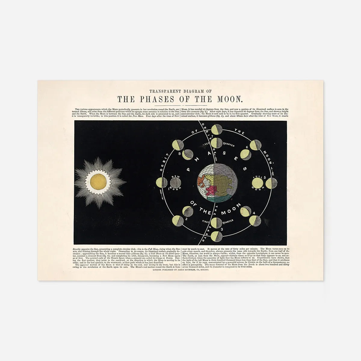 Transparent diagram of the phases of the Moon art print