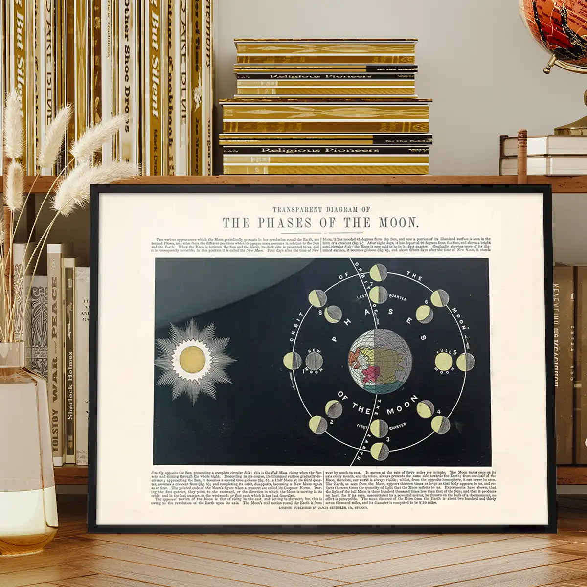 Transparent diagram of the phases of the Moon art print