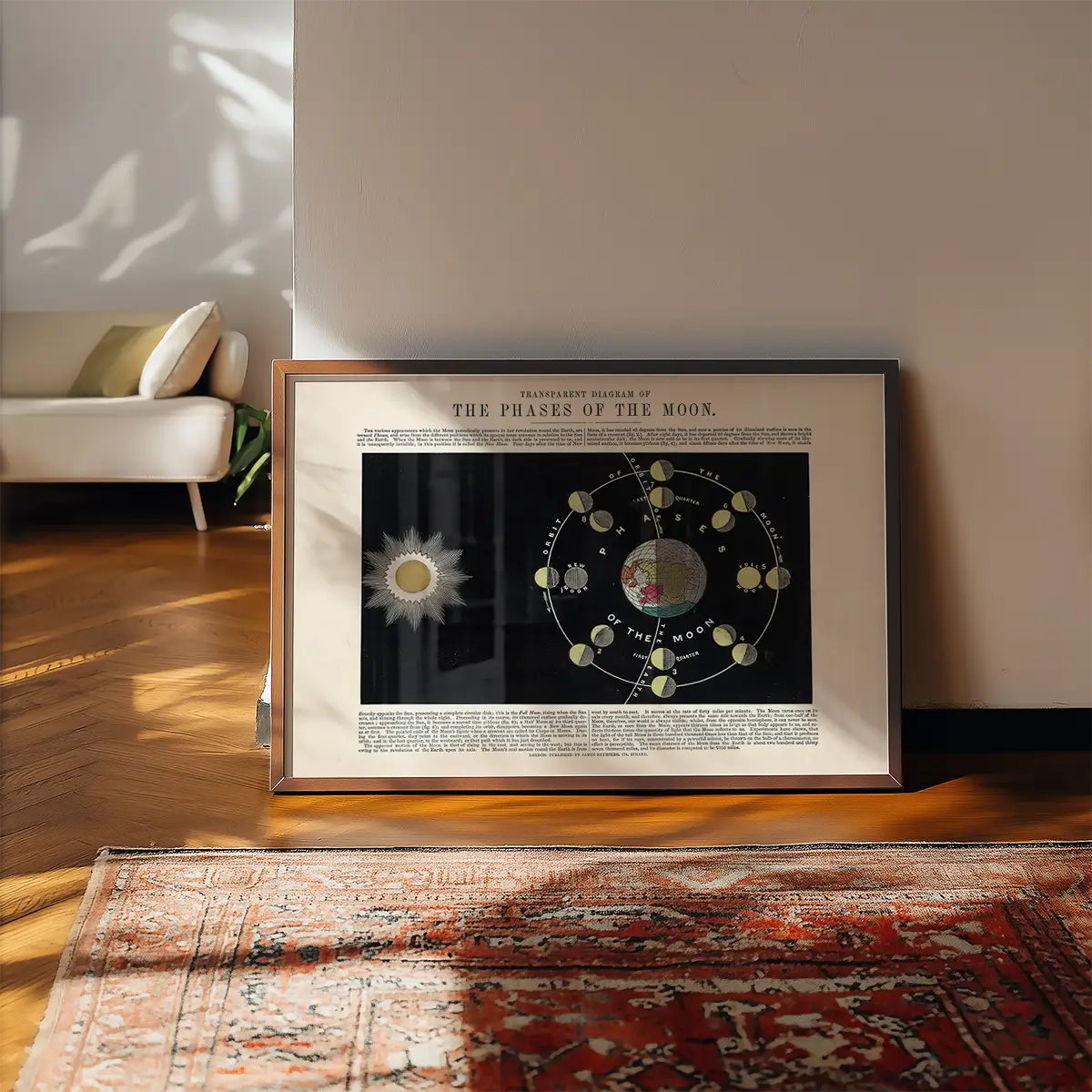 Transparent diagram of the phases of the Moon art print