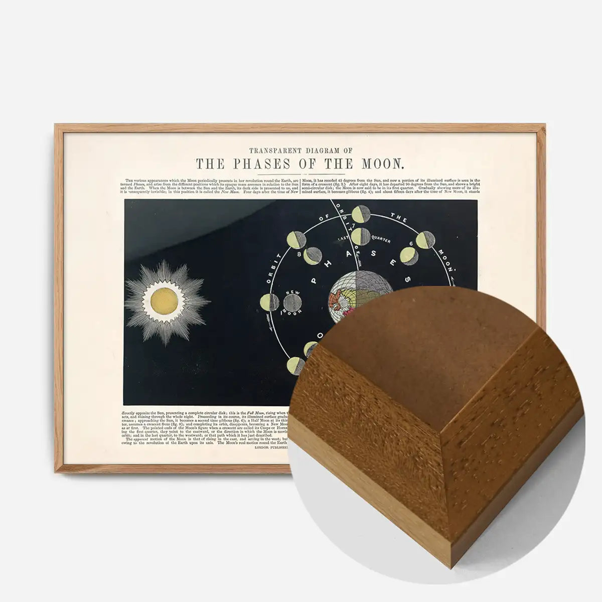 Transparent diagram of the phases of the Moon art print