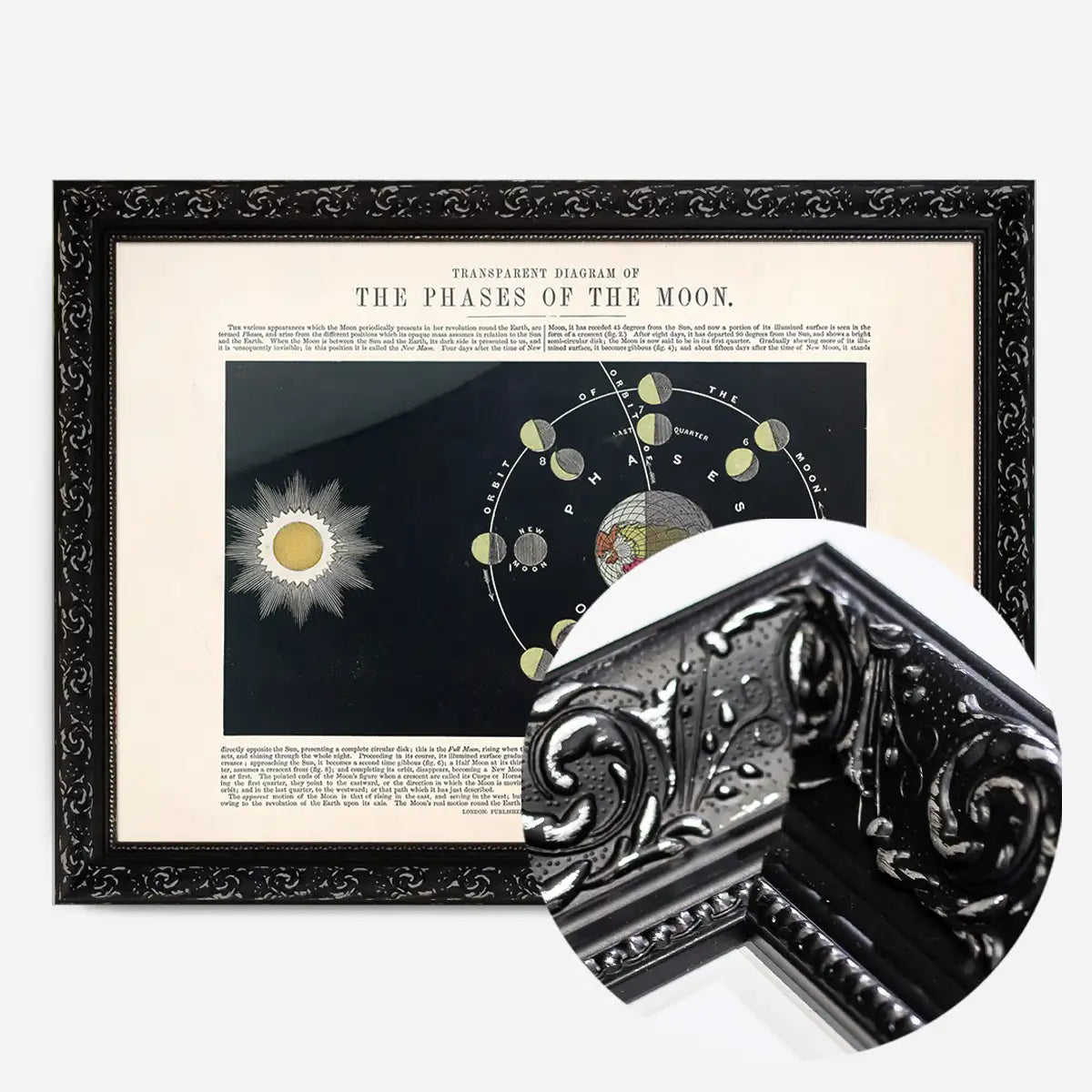 Transparent diagram of the phases of the Moon art print