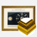 Gold Ornate Frame
