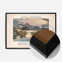 Diagram of Natural Phenomena art print