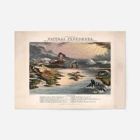 Diagram of Natural Phenomena art print