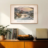 Diagram of Natural Phenomena art print