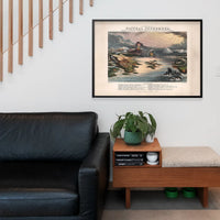 Diagram of Natural Phenomena art print