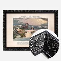 Diagram of Natural Phenomena art print