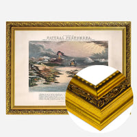 Diagram of Natural Phenomena art print
