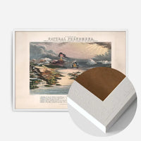 Diagram of Natural Phenomena art print
