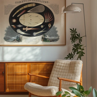 Comets and Aerolites art print