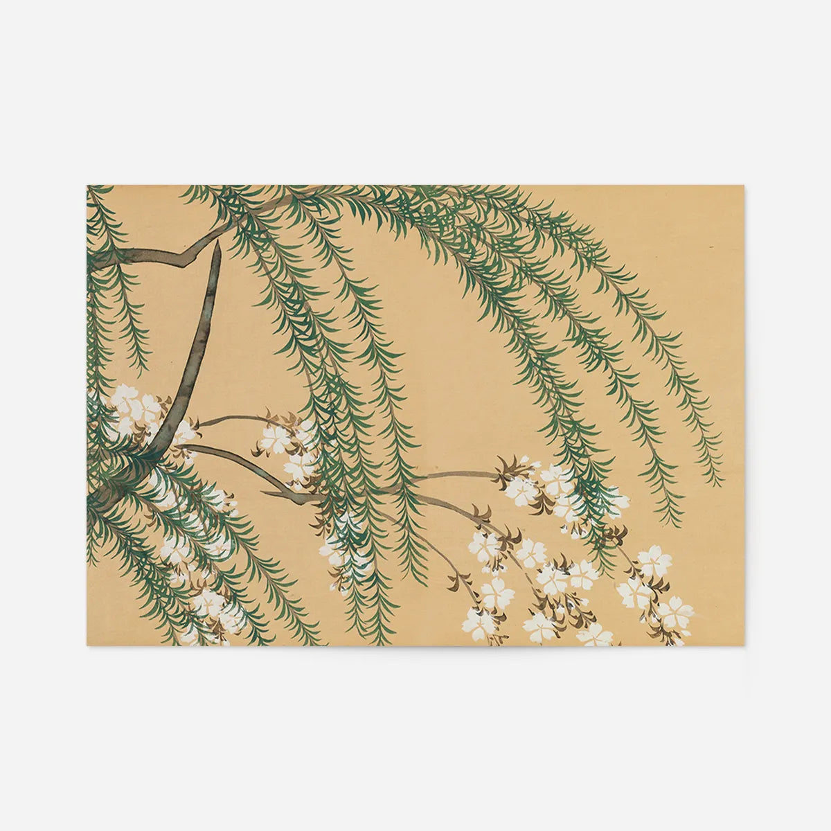 Willow and Cherry Art Print by Kamisaka Sekka