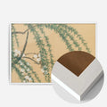 White Wood Frame