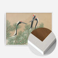 White Wood Frame