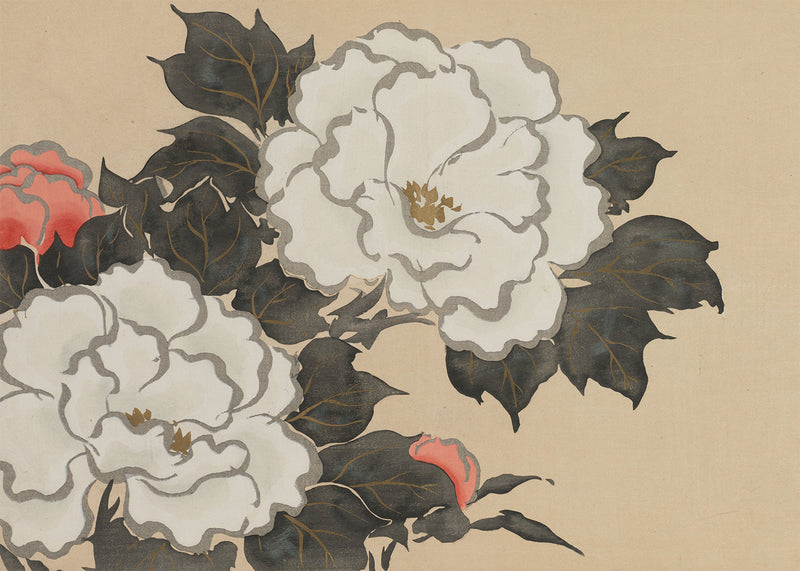 Peonies Art Print by Kamisaka Sekka