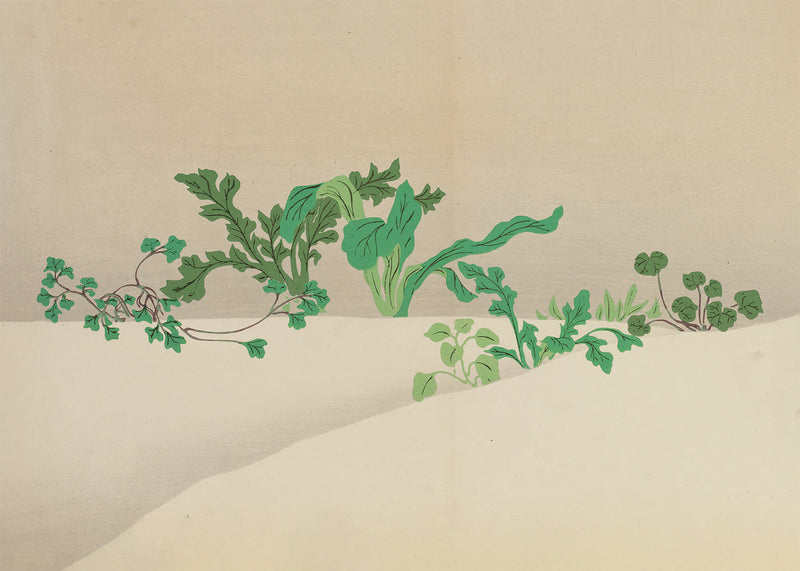 Seven Herbs of Early Spring Art Print by Kamisaka Sekka