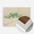 White Wood Frame