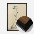 Black Wood Frame