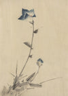 Blue flower blossom and bud by Katsushika Hokusai