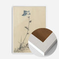 White Wood Frame
