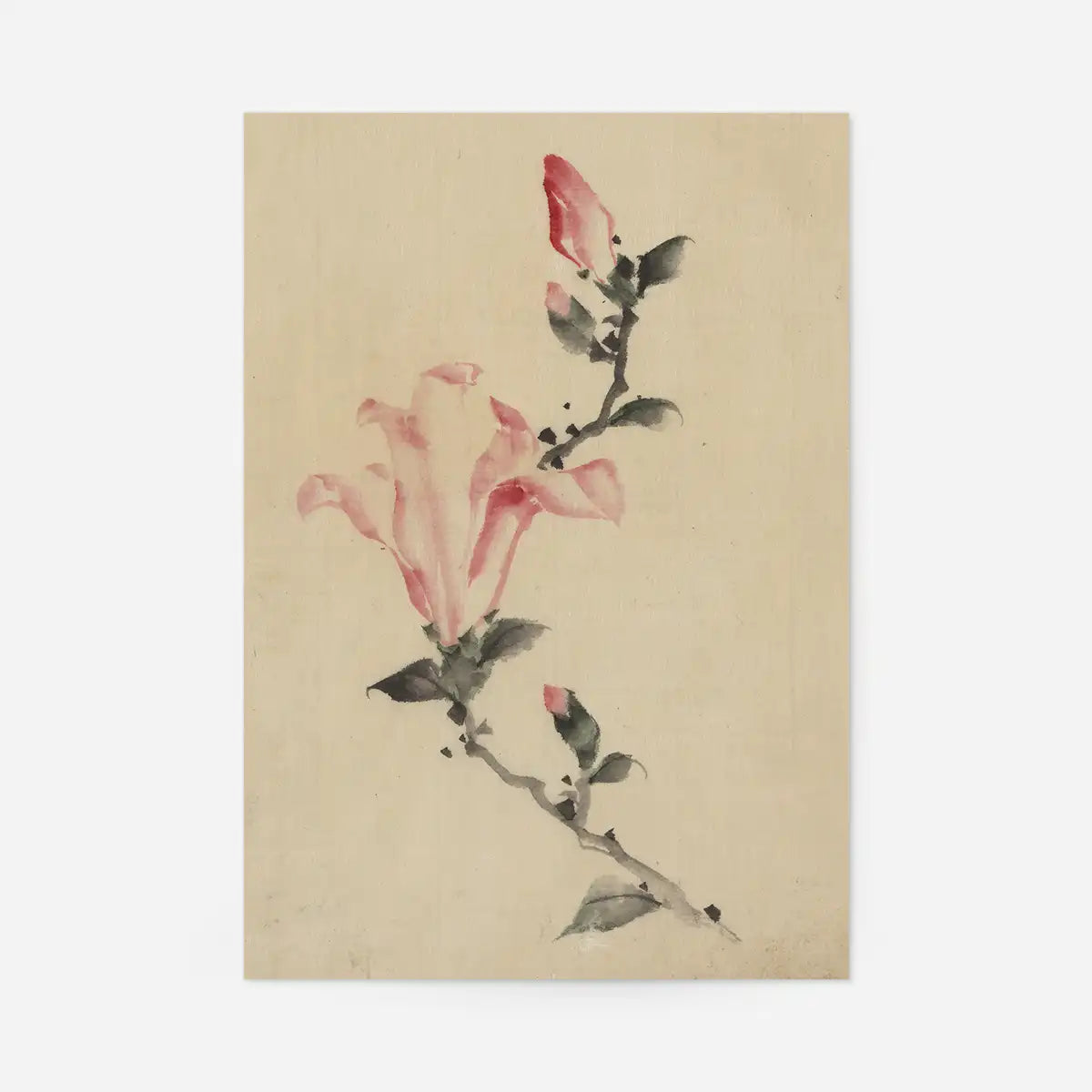 Large pink blossom on a stem by Katsushika Hokusai