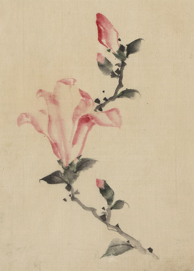 Large pink blossom on a stem by Katsushika Hokusai