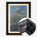 Black Ornate Frame