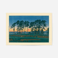 Print Only