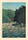 Iris Garden at Meiji Shrine, Tokyo Print by Hasui Kawase
