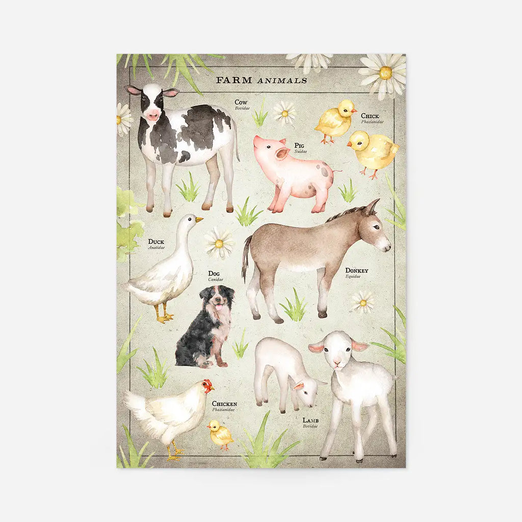 Vintage Style Farmyard Animals Chart Educational Print