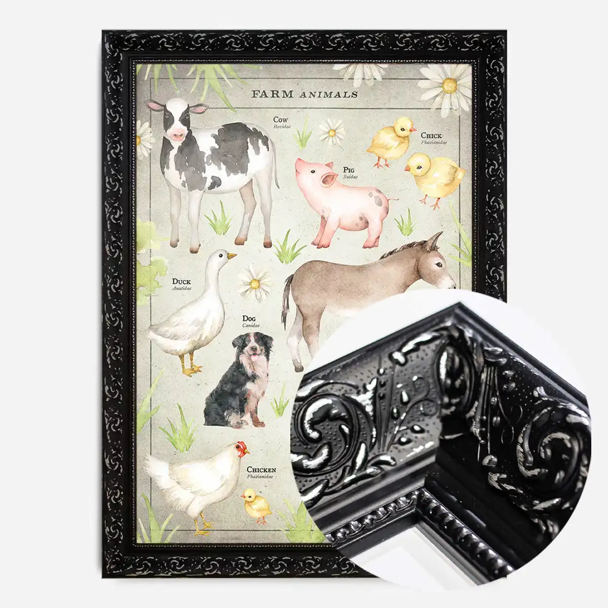 Vintage Style Farmyard Animals Chart Educational Print