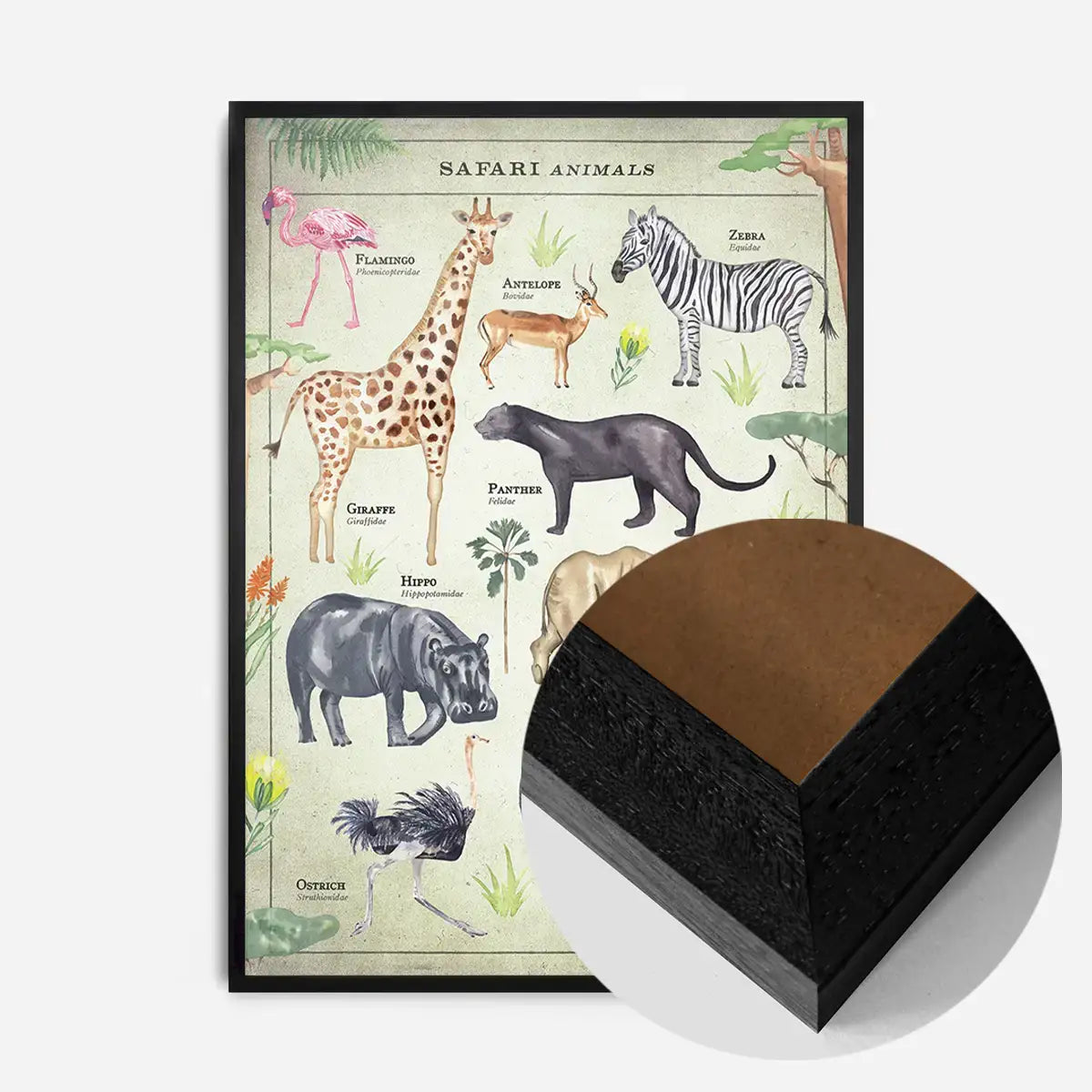 Vintage Style Safari Animals Chart Educational Print