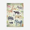 Vintage Style Safari Animals Chart Educational Print