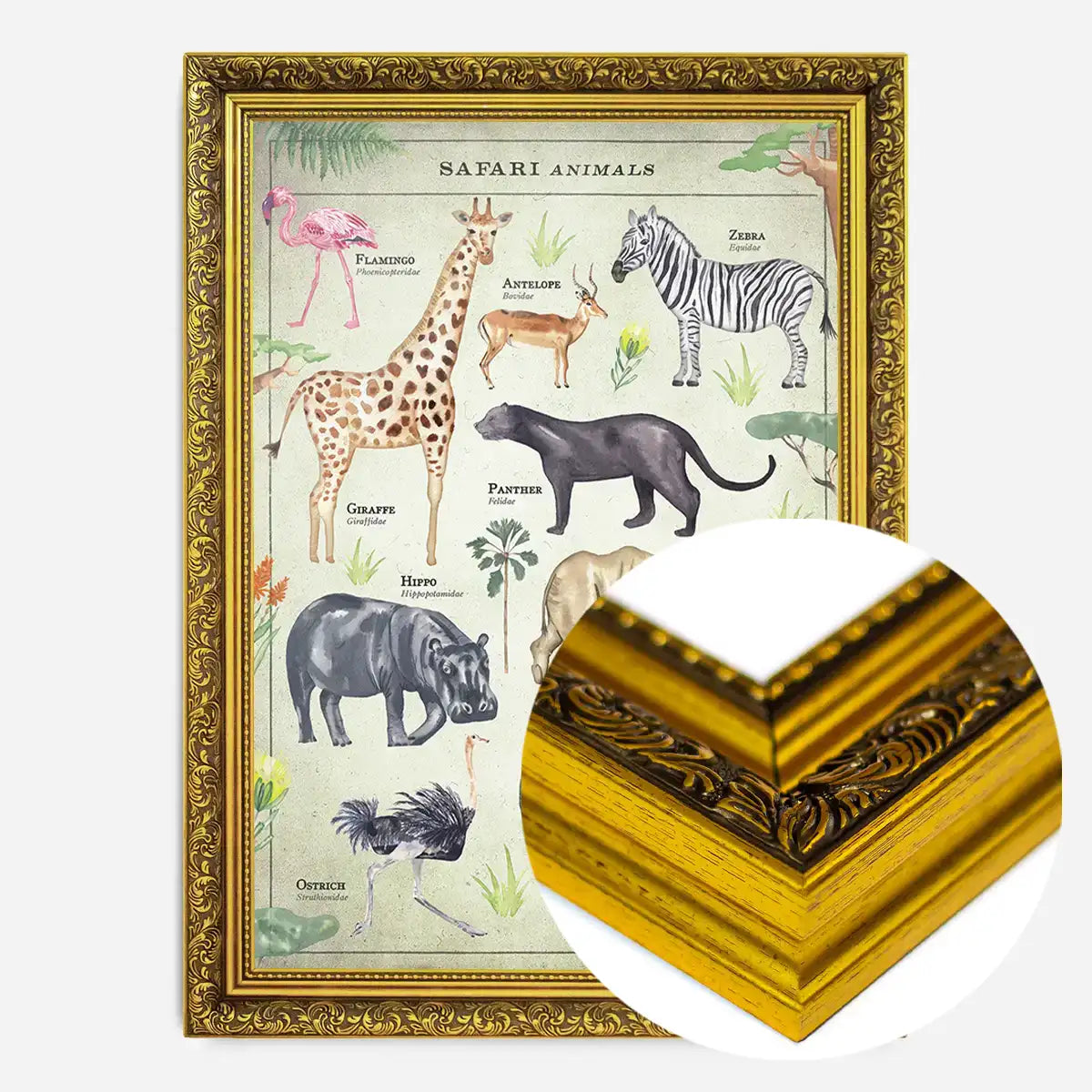 Vintage Style Safari Animals Chart Educational Print