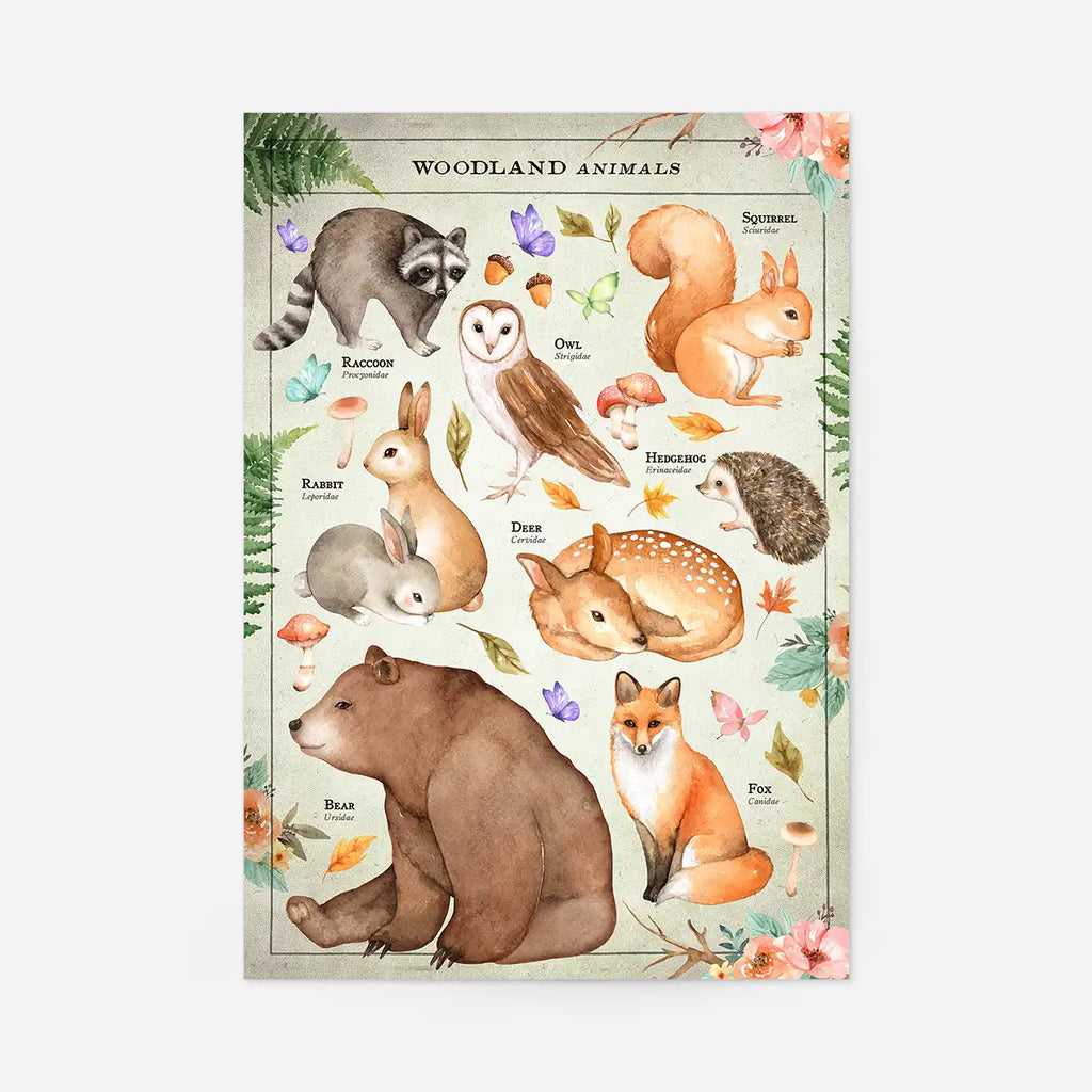 Vintage Style Woodland Animals Chart Educational Print
