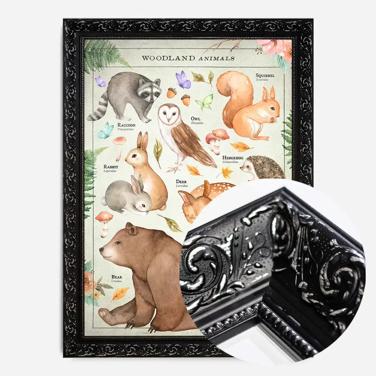 Vintage Style Woodland Animals Chart Educational Print