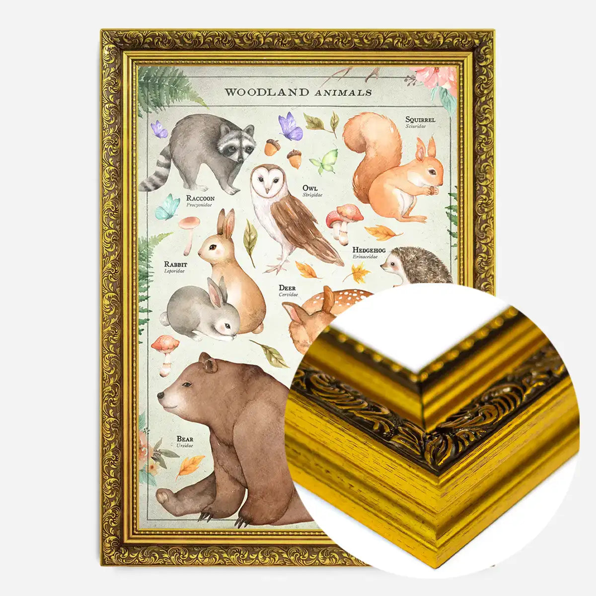 Vintage Style Woodland Animals Chart Educational Print