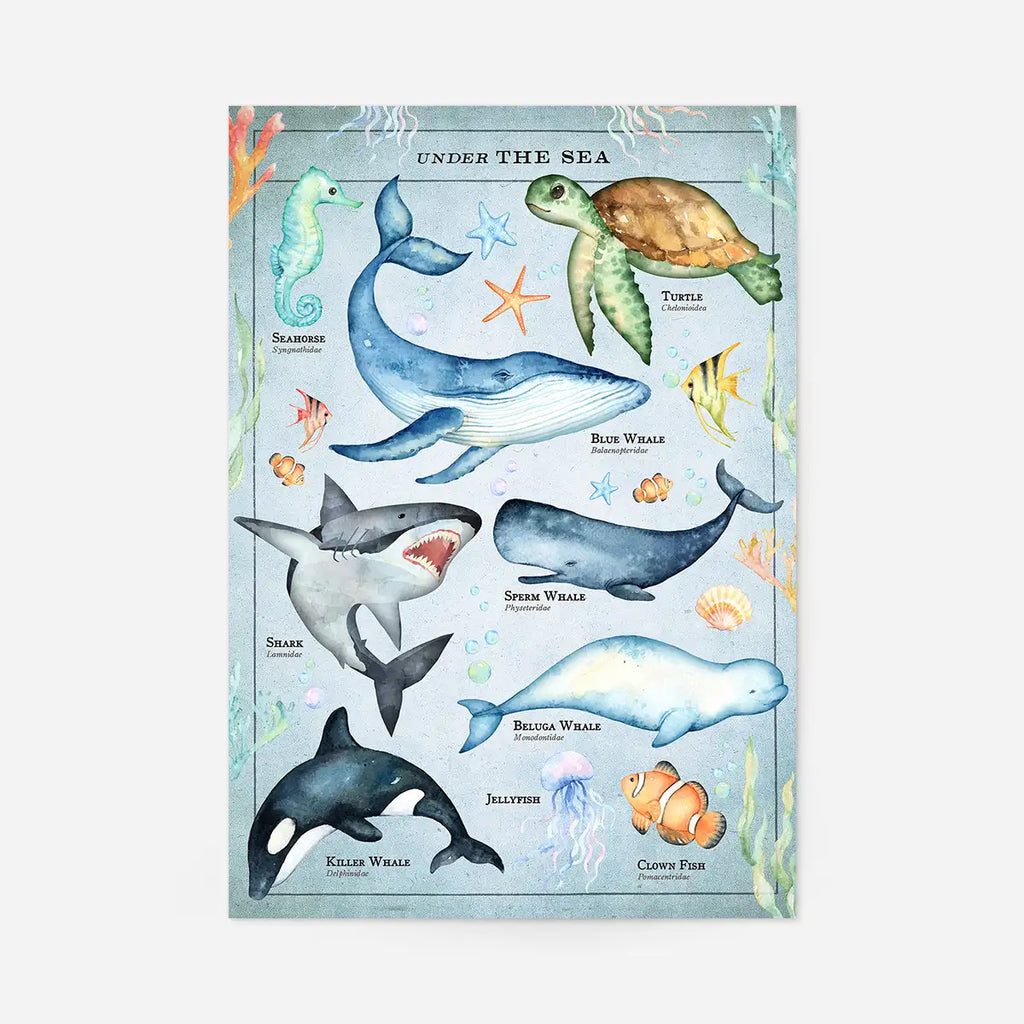 Vintage Style Sea Creatures Chart Educational Print