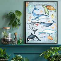 Vintage Style Sea Creatures Chart Educational Print