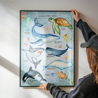 Vintage Style Sea Creatures Chart Educational Print